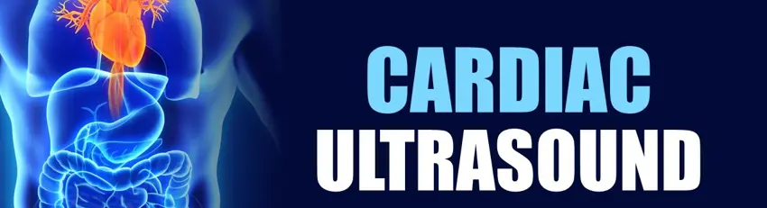 Cardiac Ultrasound