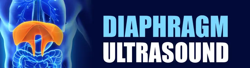 Diapgragm Ultrasound
